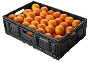 Aldi and CHEP launch a new generation crate